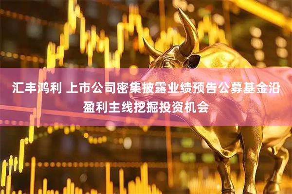 汇丰鸿利 上市公司密集披露业绩预告公募基金沿盈利主线挖掘投资机会