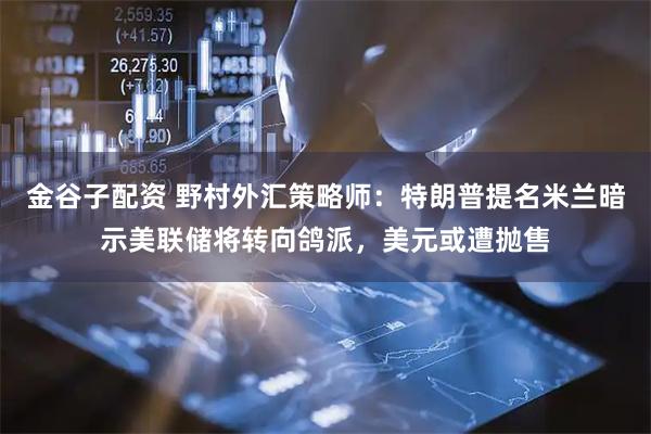 金谷子配资 野村外汇策略师：特朗普提名米兰暗示美联储将转向鸽派，美元或遭抛售