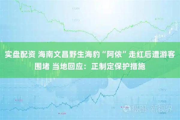 实盘配资 海南文昌野生海豹“阿侬”走红后遭游客围堵 当地回应：正制定保护措施