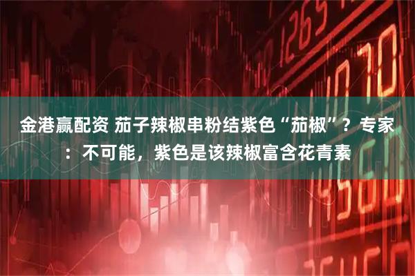 金港赢配资 茄子辣椒串粉结紫色“茄椒”？专家：不可能，紫色是该辣椒富含花青素