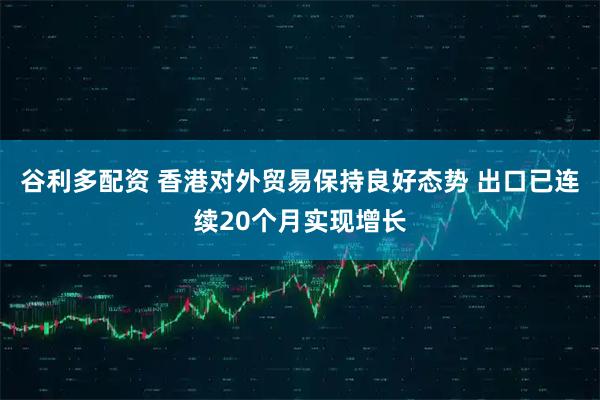 谷利多配资 香港对外贸易保持良好态势 出口已连续20个月实现增长